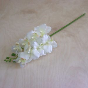 Umělá orchidej krémová 371251-26 - 10 x 5 x 38 cm