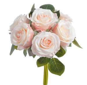 Kytice růží 9 kusů - krémová s růžovým podbarvením