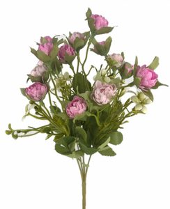 Trs kamélií - růžová