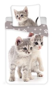 Povlečení Kitten grey 140x200, 70x90 cm