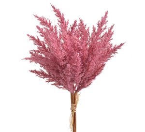Čechrava 38 cm - starorůžová