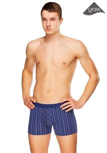 Pánské boxerky Alvaro 02/1-13/460 proužek