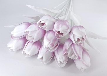 Kytice tulipánů s bílým listem - fialovorůžová s bílou špičkou 6 kusů