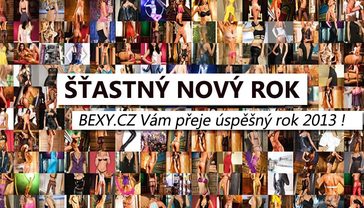 Přejeme Všem úspěšný rok 2013