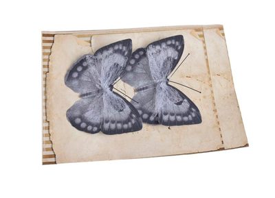 Motýlci na klipu s pavučinou 2 ks - šedá + černá{% if product.brand.name %} – Canea{% endif %}