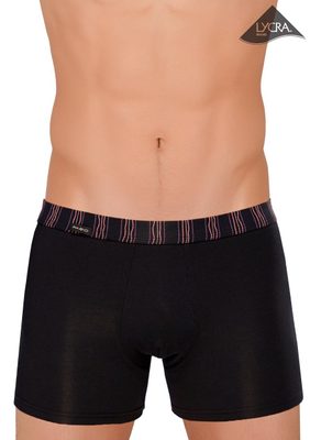 Pánské boxerky Amante 03/1-13/206+352 black – fotka 1