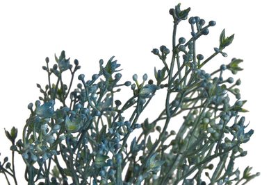 Umělá větvička broom bloom - modrá – fotka 1