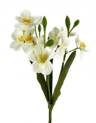 Umělý trs narcisů 40 cm - bílá{% if product.brand.name %} – Canea{% endif %}