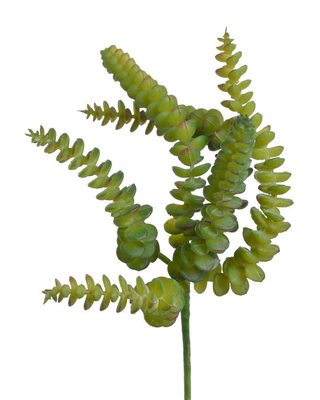Sedum burrito sukulent 27 cm - zelená tmavší{% if product.brand.name %} – Canea{% endif %}
