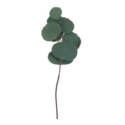 Umělý eukalyptus X4925-16 - 15 x 2 x 34 cm{% if product.brand.name %} – Morex{% endif %}