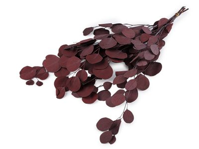 Stabilizovaný eukalyptus svazek{% if variant.name %} – 3 bordó sv.{% endif %}