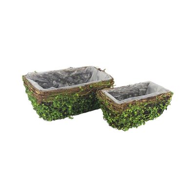 Květináč k osázení, 2ks P1637 - 22x13x10 cm{% if product.brand.name %} – Morex{% endif %}