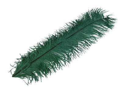 Pštrosí peří délka 50-55 cm{% if variant.name %} – 6 zelená tmavá{% endif %}