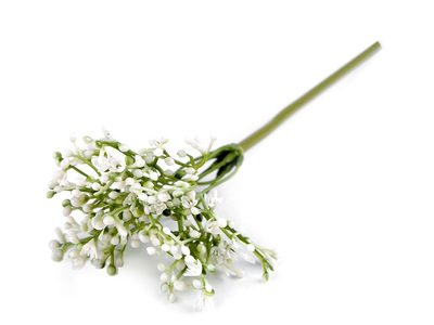 Umělý nevěstin závoj k aranžování{% if product.brand.name %} – Stoklasa{% endif %}