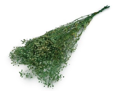 Stabilizovaný nevěstin závoj svazek{% if variant.name %} – 3 zelená{% endif %}