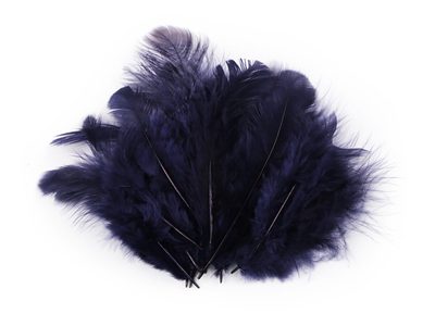 Slepičí peří délka 8-9 cm{% if variant.name %} – 8 modrá berlínská{% endif %}