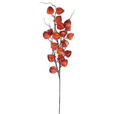 Větev mochyně P2105 - 90 cm{% if product.brand.name %} – Morex{% endif %}