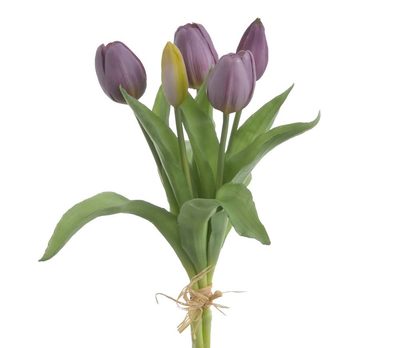 Svazek tulipánů 5 ks - tmavě fialová{% if product.brand.name %} – Canea{% endif %}