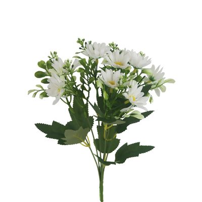 Kopretina X6954-01{% if product.brand.name %} – {% endif %}