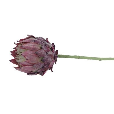 Umělá protea X6859-10{% if product.brand.name %} – {% endif %}
