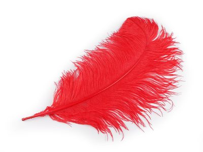 Pštrosí peří délka 50-55 cm{% if variant.name %} – 5 červená{% endif %}