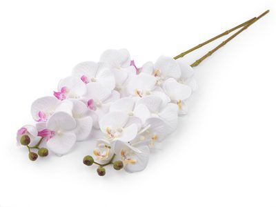 Umělá orchidej{% if product.brand.name %} – Stoklasa{% endif %}