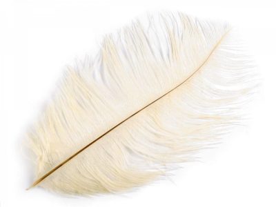 Pštrosí peří délka cca 20-25 cm 2 kusy{% if variant.name %} – 5 krémová nejsvět.{% endif %}