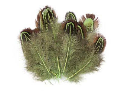 Bažantí peří délka 5-7 cm{% if variant.name %} – 3 zelená sv.{% endif %}