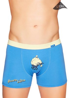 Pánské boxerky s obrázkem 17/1-19/E196 oslíka – fotka 1