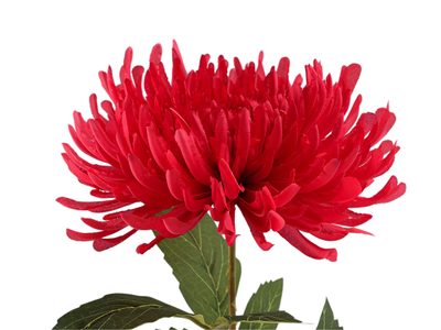 Umělá chryzantéma - 11 (Ø18 cm) červená otevřená