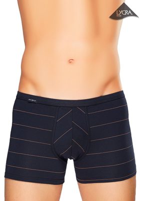 Pánské boxerky Body&Soul 10/1-13/660 proužek – fotka 1