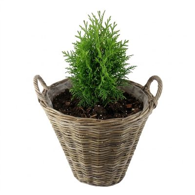 Koš kubu ratan M0078/2 – fotka 1