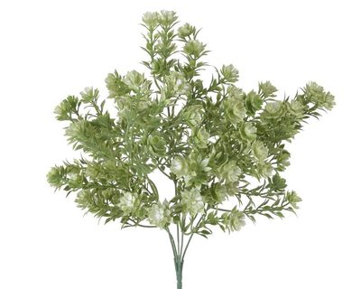Trs rozchodník flokovaný - zelená - 34 cm{% if product.brand.name %} – Canea{% endif %}
