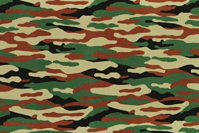 Teplákovina Maskáč USA šíře 155 cm METRÁŽ{% if product.brand.name %} – Galanterka{% endif %}