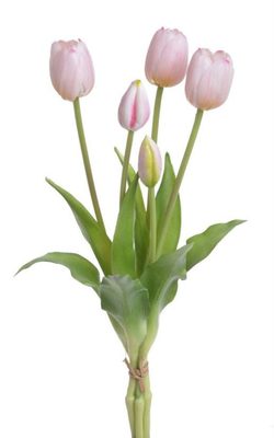 Kytice tulipánů 5 ks - růžová{% if product.brand.name %} – Canea{% endif %}