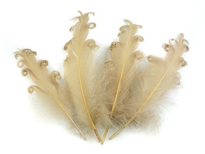 Husí peří kudrnaté délka 12-18 cm sada 4 kusy{% if variant.name %} – 5 hořčicová{% endif %}