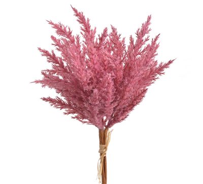 Čechrava 38 cm - starorůžová - Canea