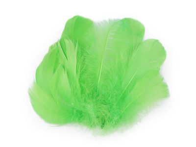 Pštrosí peří délka 6-11 cm{% if variant.name %} – 5 zelená sv.{% endif %}