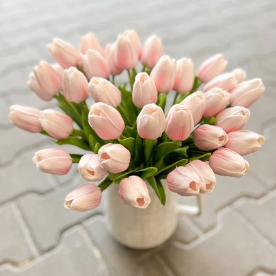Tulipán pěnový (5 ks) - růžová/bílá – fotka 2