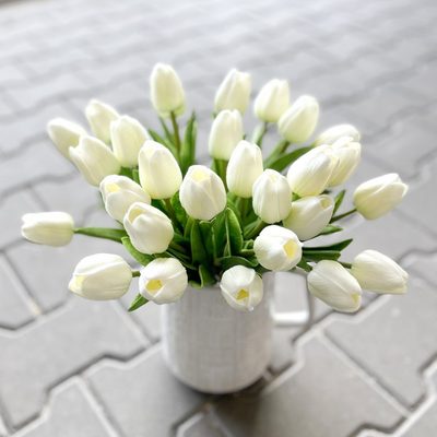 Tulipán pěnový (5 ks) - bílá se zeleným nádechem 30 cm – fotka 3