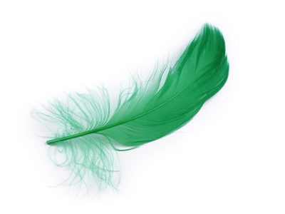 Pštrosí peří délka 6-11 cm{% if product.brand.name %} – Stoklasa{% endif %}