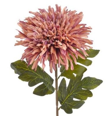 Chryzantéma 72 cm - starorůžová/fialová žíhaná – fotka 1