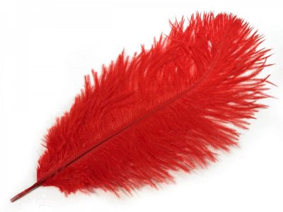 Pštrosí peří délka cca 20-25 cm 2 kusy{% if variant.name %} – 4 červená jahoda{% endif %}