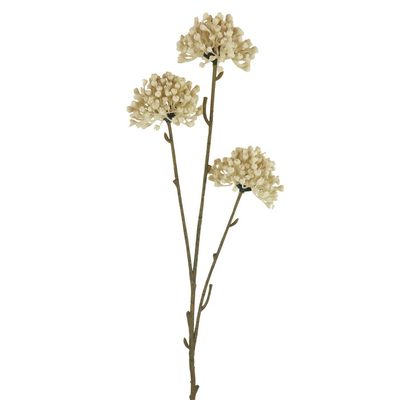 Okrasný česnek 60 cm X6847-26{% if product.brand.name %} – Morex{% endif %}