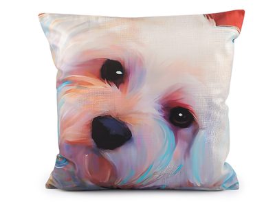 Sametový povlak na polštář pes, kočka 45x45 cm{% if variant.name %} – 3 multikolor pejsek{% endif %}