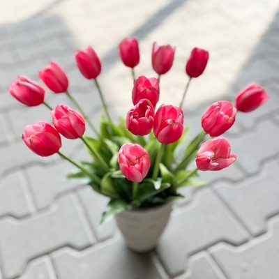 Tulipán 40 cm - červenorůžová – fotka 1
