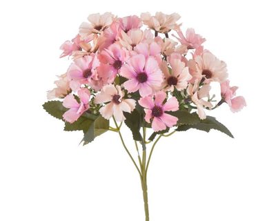 Krásenka trs x5 - růžovomeruňkový mix{% if product.brand.name %} – Canea{% endif %}