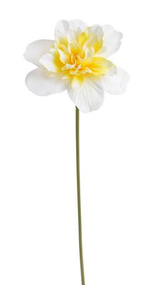 Umělý plnokvětý narcis - bílá se žlutým středem{% if product.brand.name %} – Canea{% endif %}
