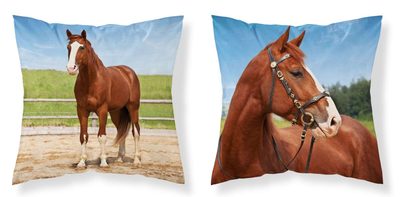 Povlak na polštářek Kůň v ohradě micro Polyester, 40/40 cm{% if product.brand.name %} – DETEXPOL{% endif %}