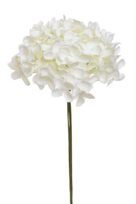 Umělý šeřík krémový 21 cm{% if product.brand.name %} – Canea{% endif %}